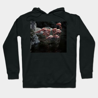 flamingos Hoodie